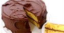 Yellow Cake/Choc Icing